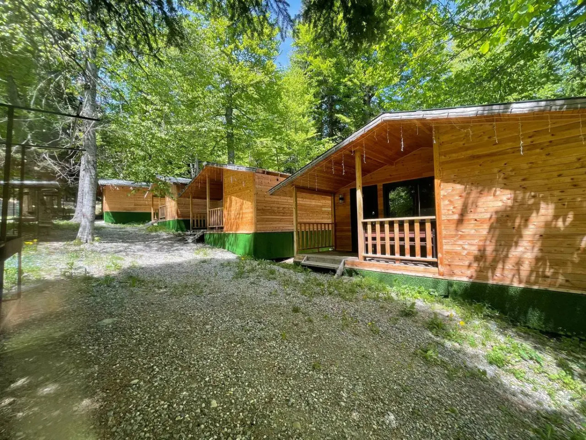 Горная Мята