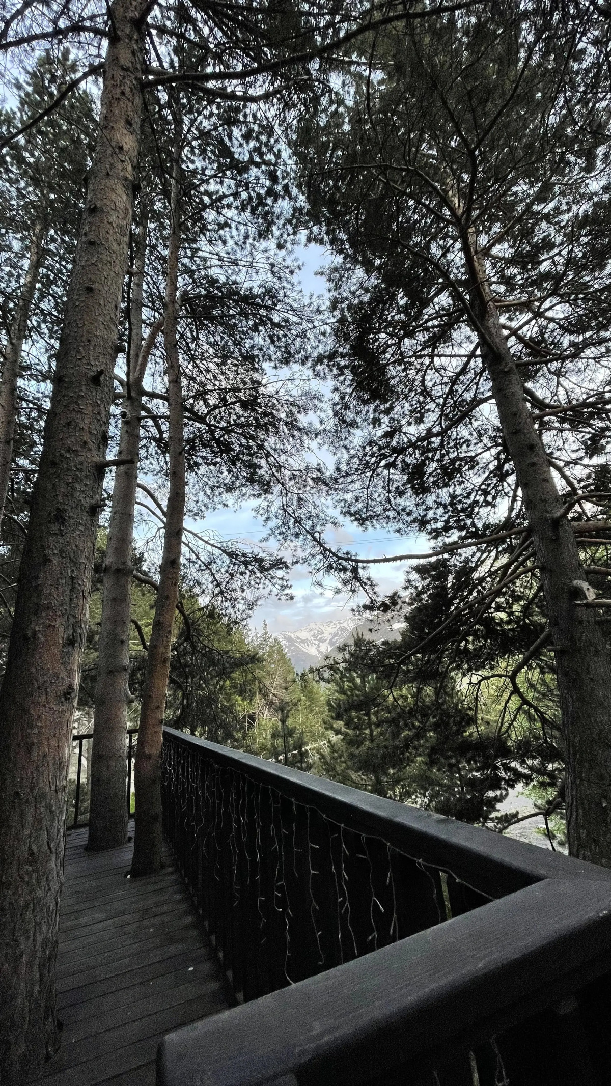 Гостевой дом Tiny house Azau