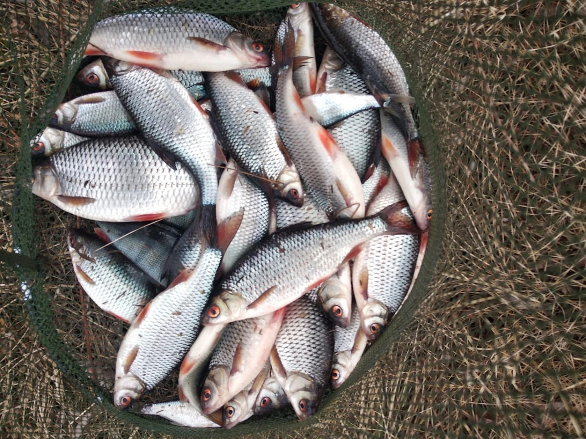 Гостевой дом Брейтово