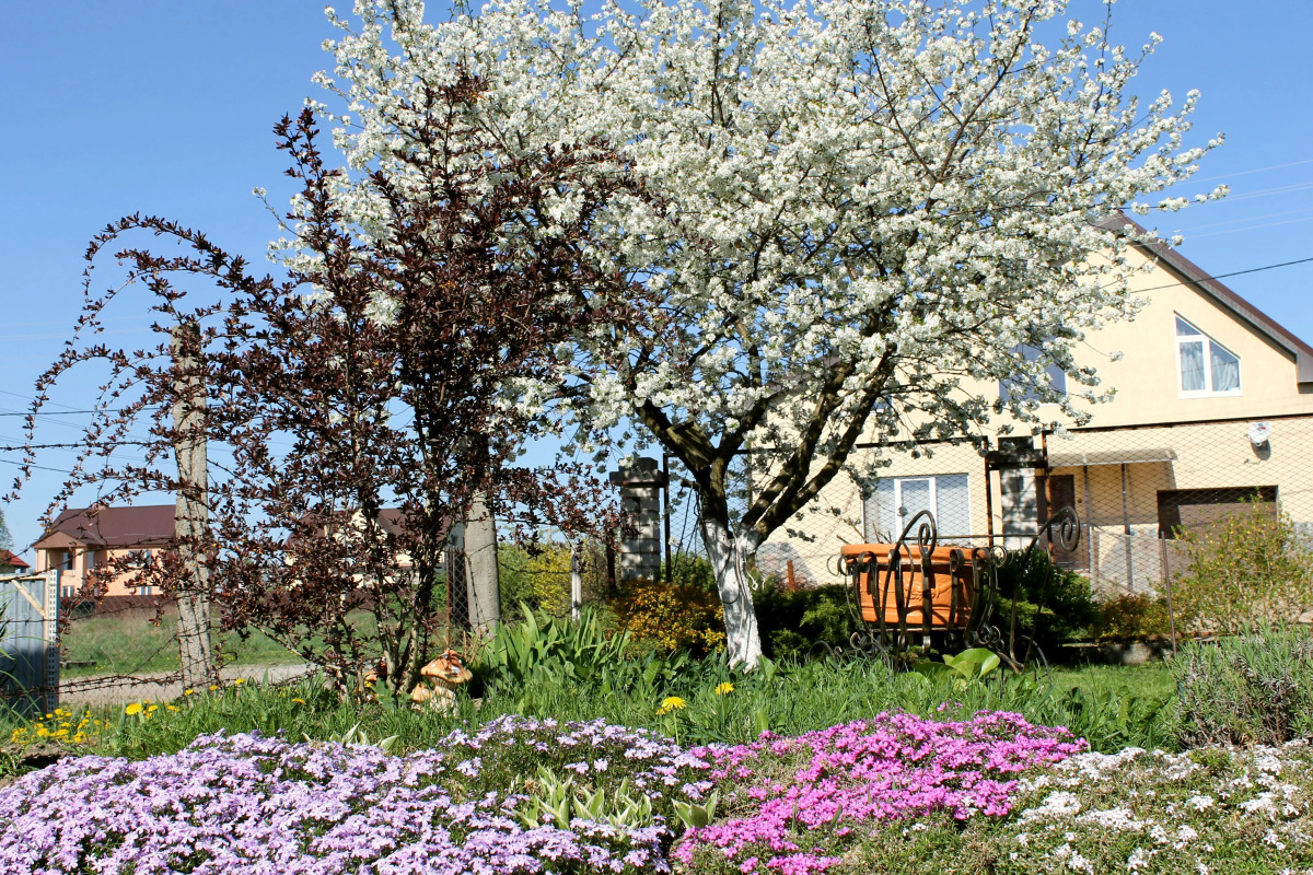 Апартаменты Homestay Vera