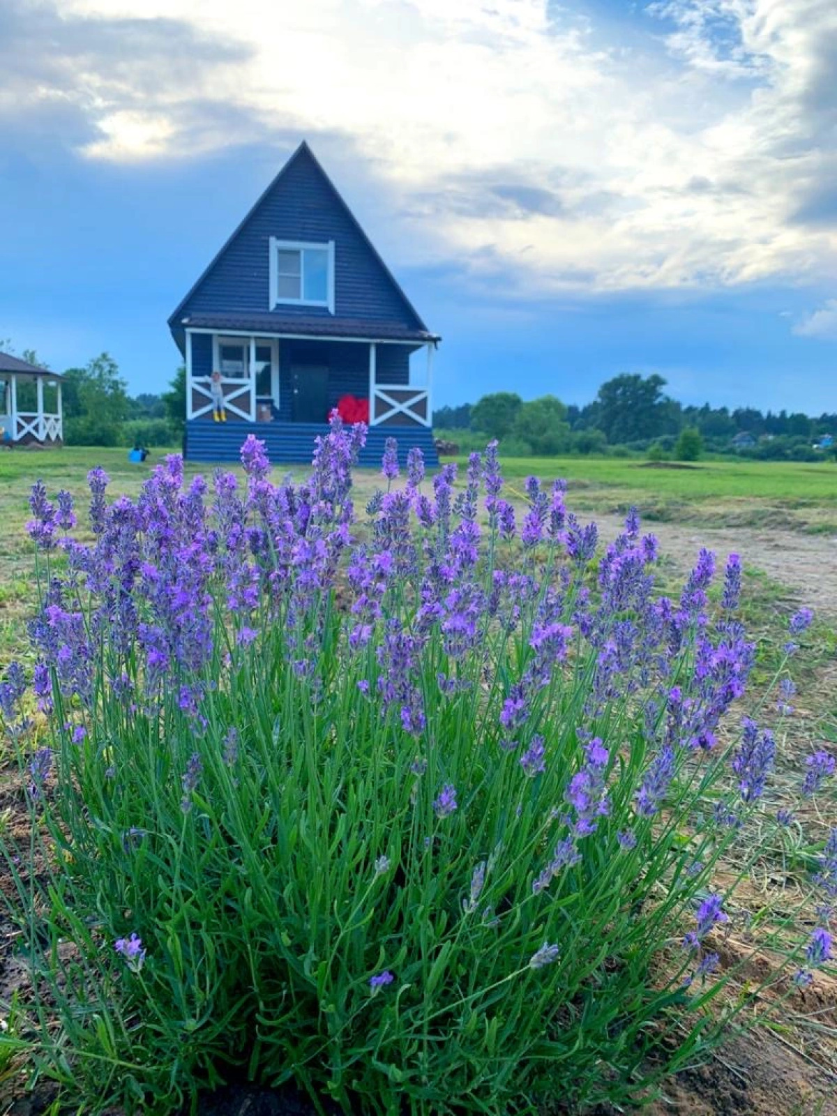 Гостевой дом LaДеревня