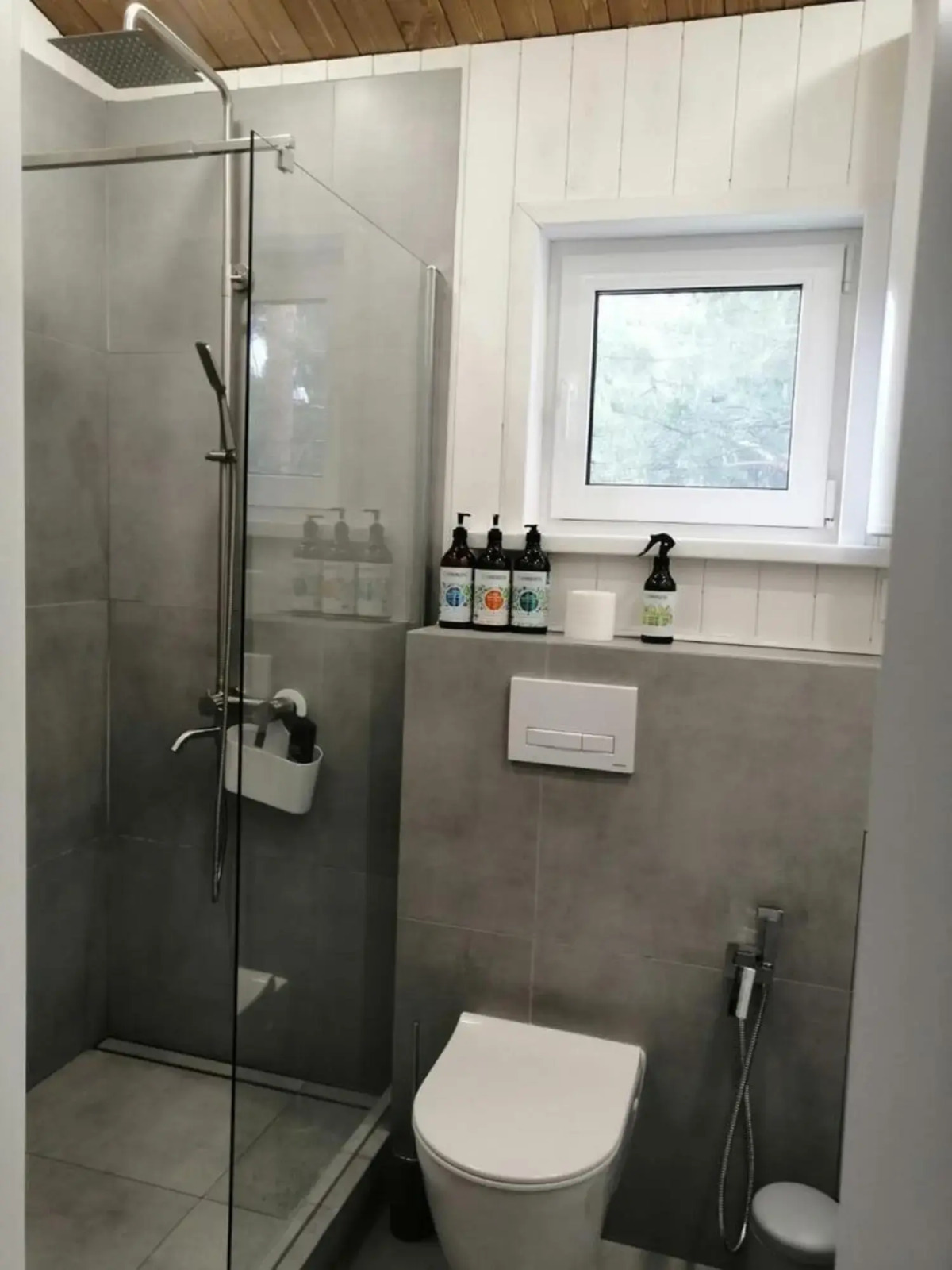 Частный дом в Сосновом Лесу