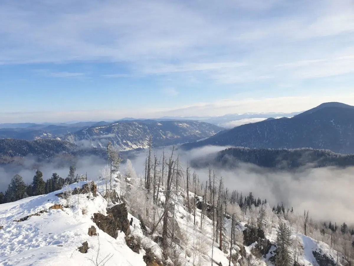 Частный Дом на Берегу Истока Реки Бия