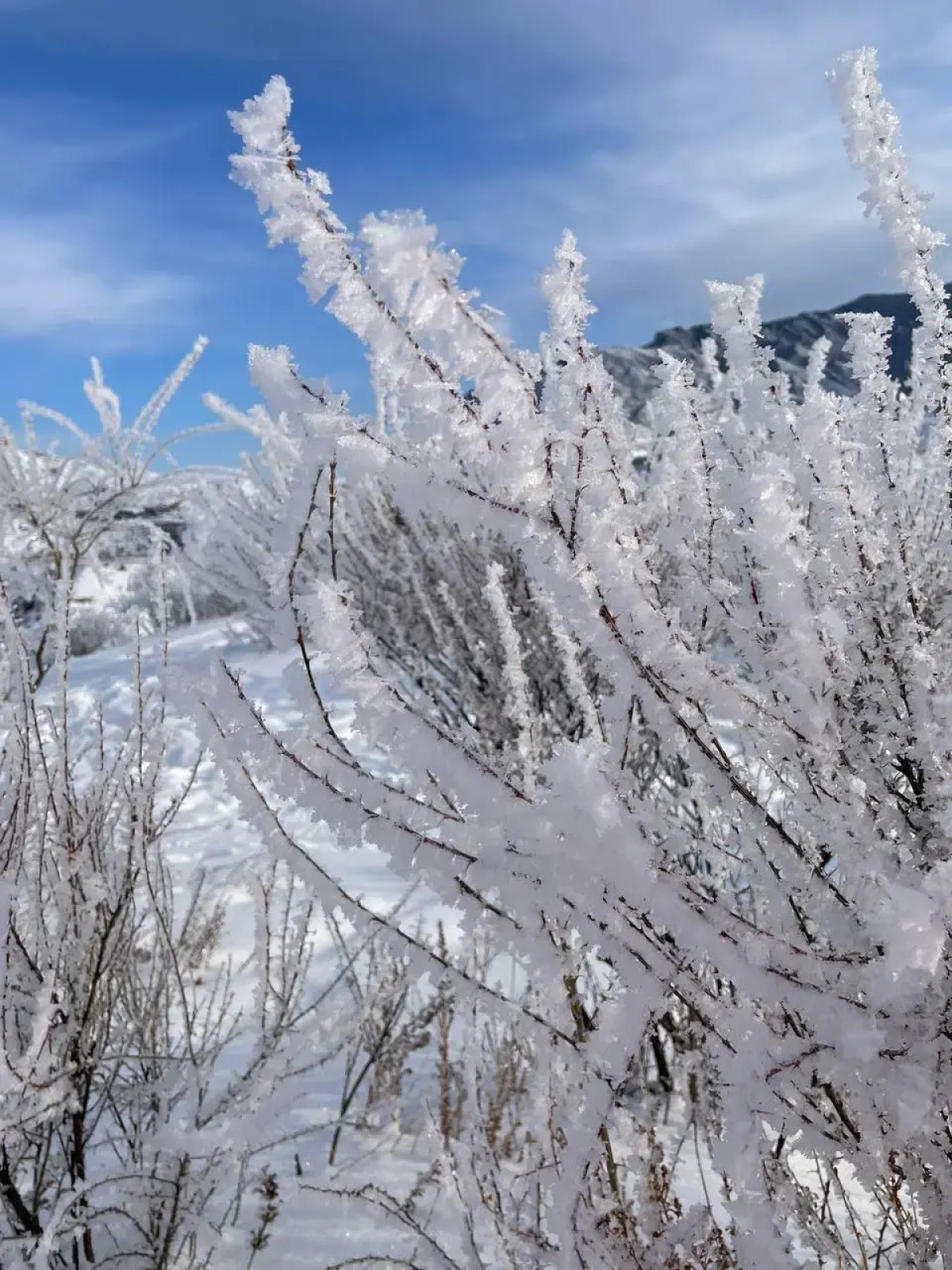 Гостевой дом Дикий Ёж