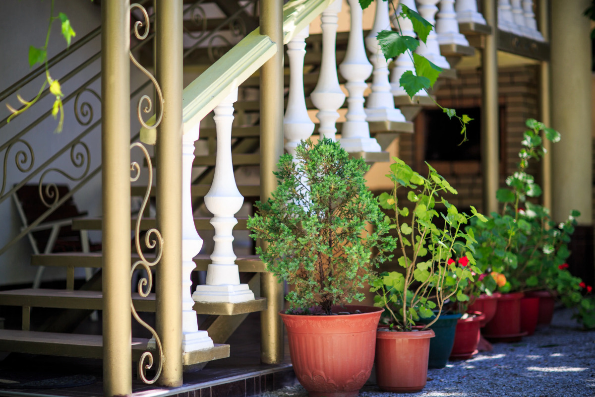 Гостевой дом Панорама