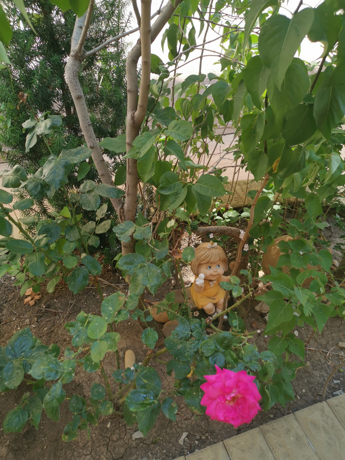 Гостевой Дом Якорь