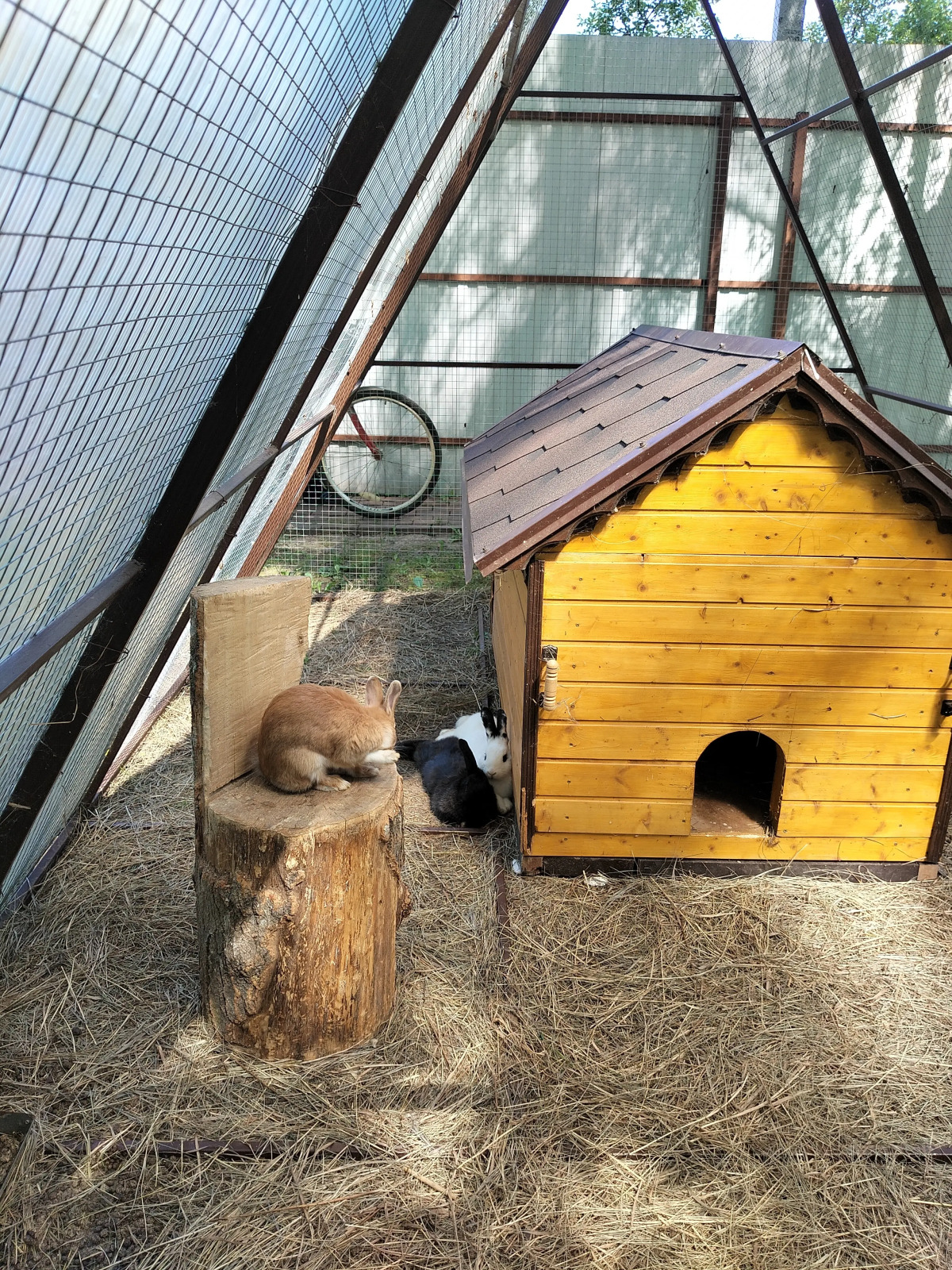 Частный Дом Уютный Домик в Лесу у Пруда