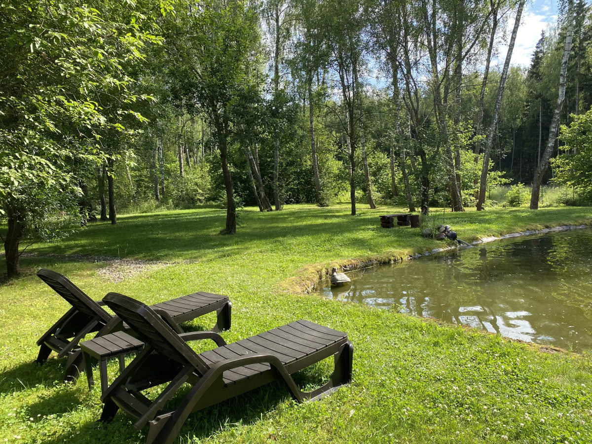 Частный Дом Уютный Домик в Лесу у Пруда