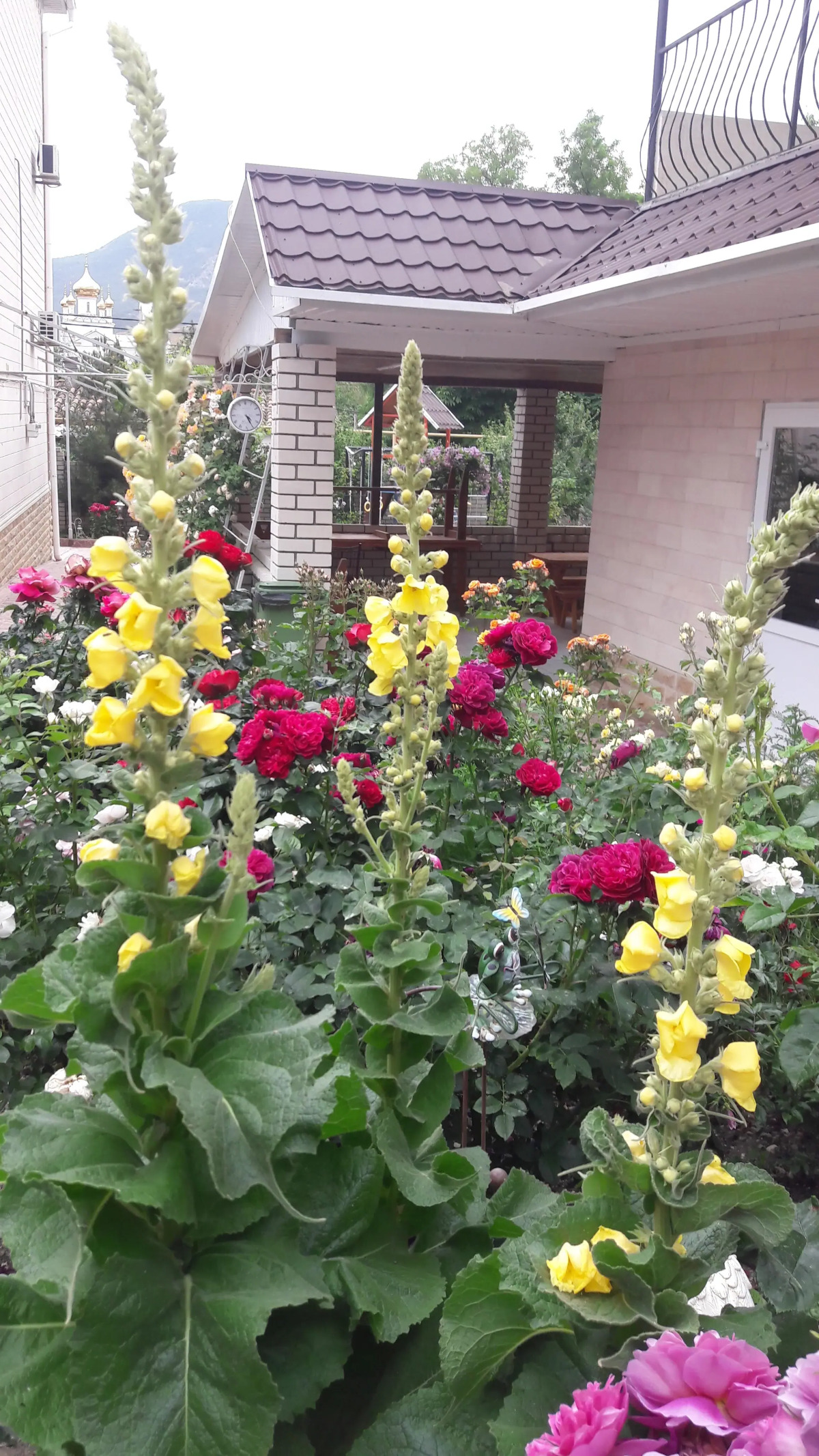 Гостевой Дом Елена