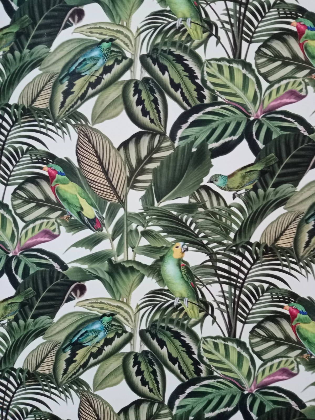 Апартаменты Птицы на Автозаводской