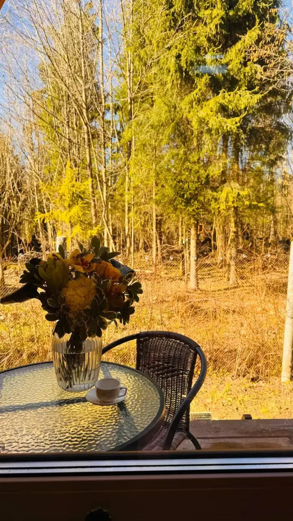 Частный дом Лисичкин дом