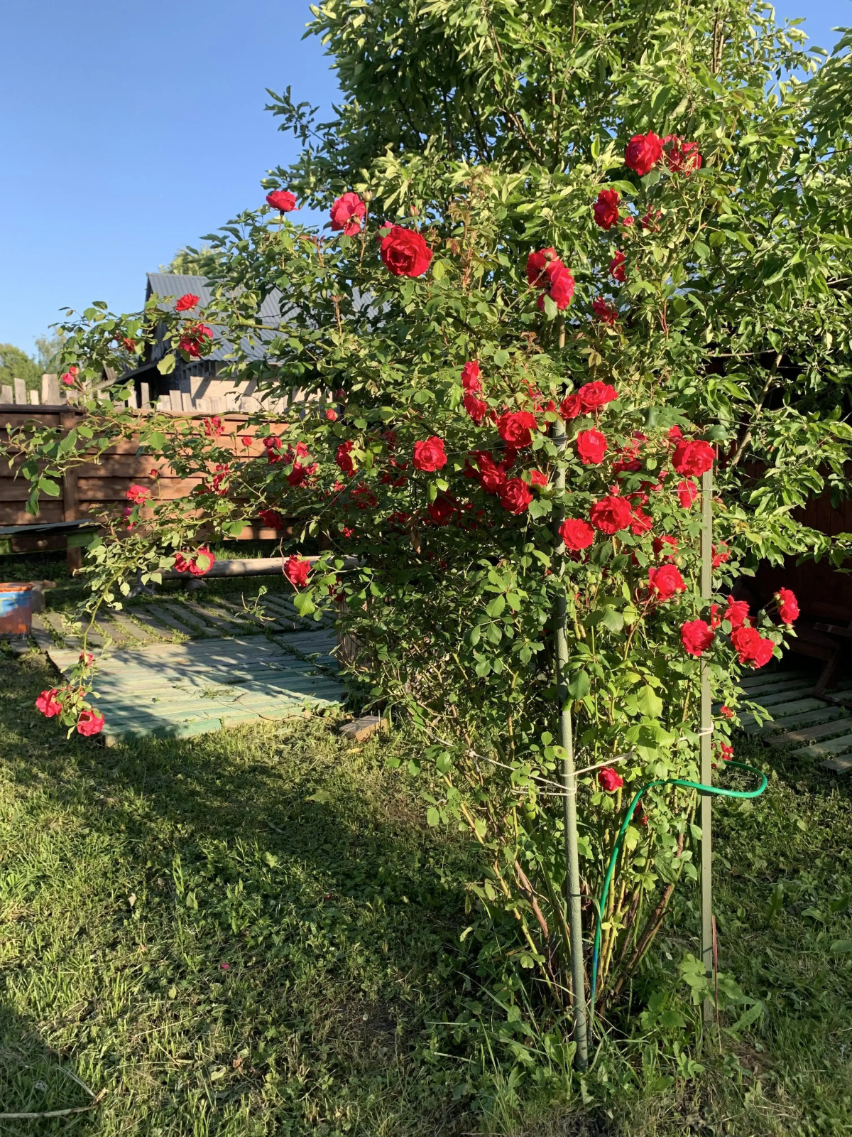 Частный Дом да Баня