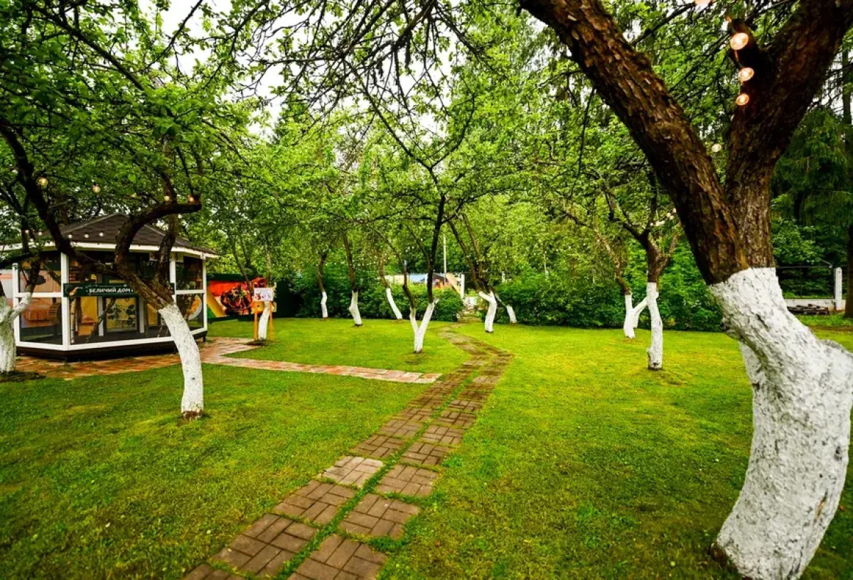 Мини-Отель Гармония Плюс