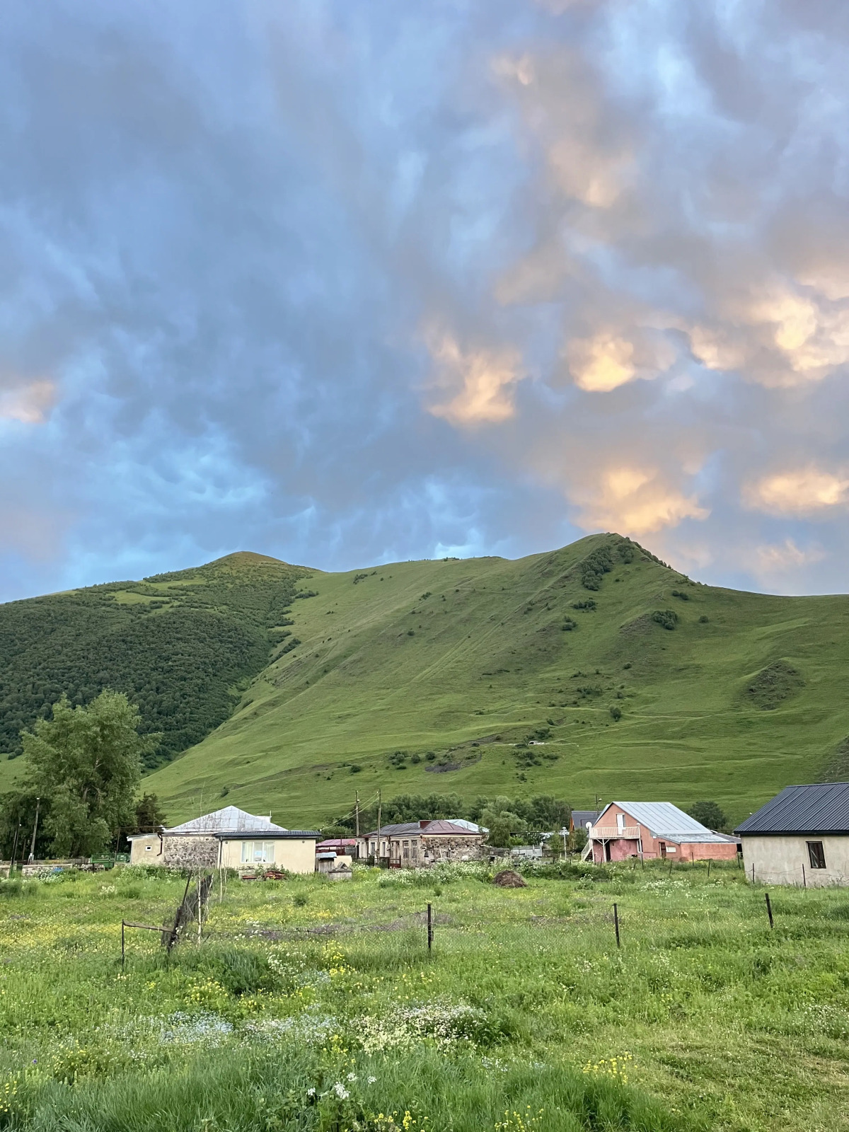 Частный дом family