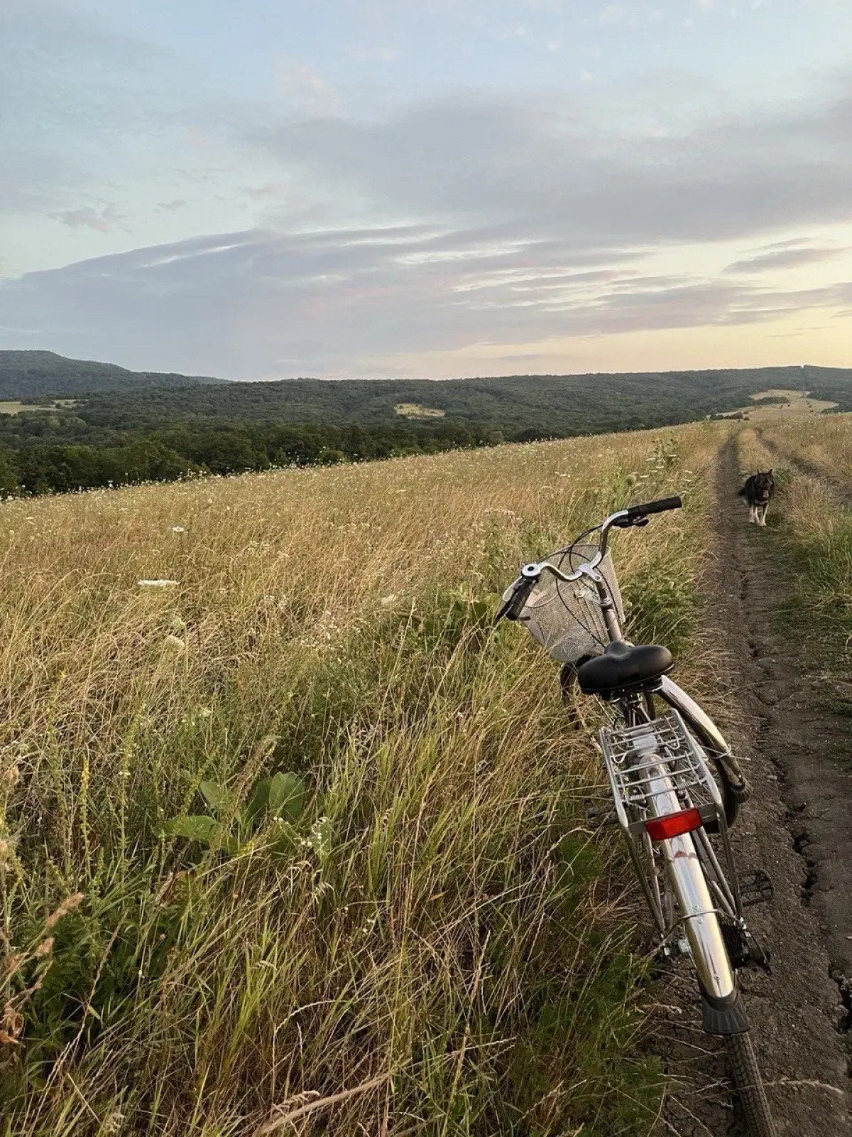 Частный дом Дизайнерский Барнхаус