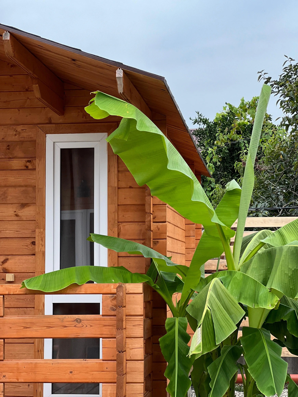 Гостевой дом Добро