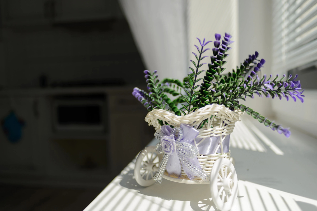 Апартаменты Ольга Светлогорск