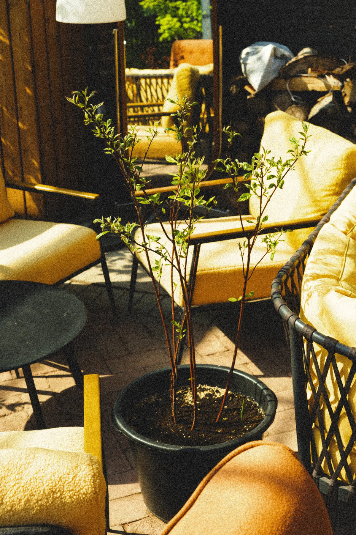 Апартаменты Room for Romantic в Nikolaev Building