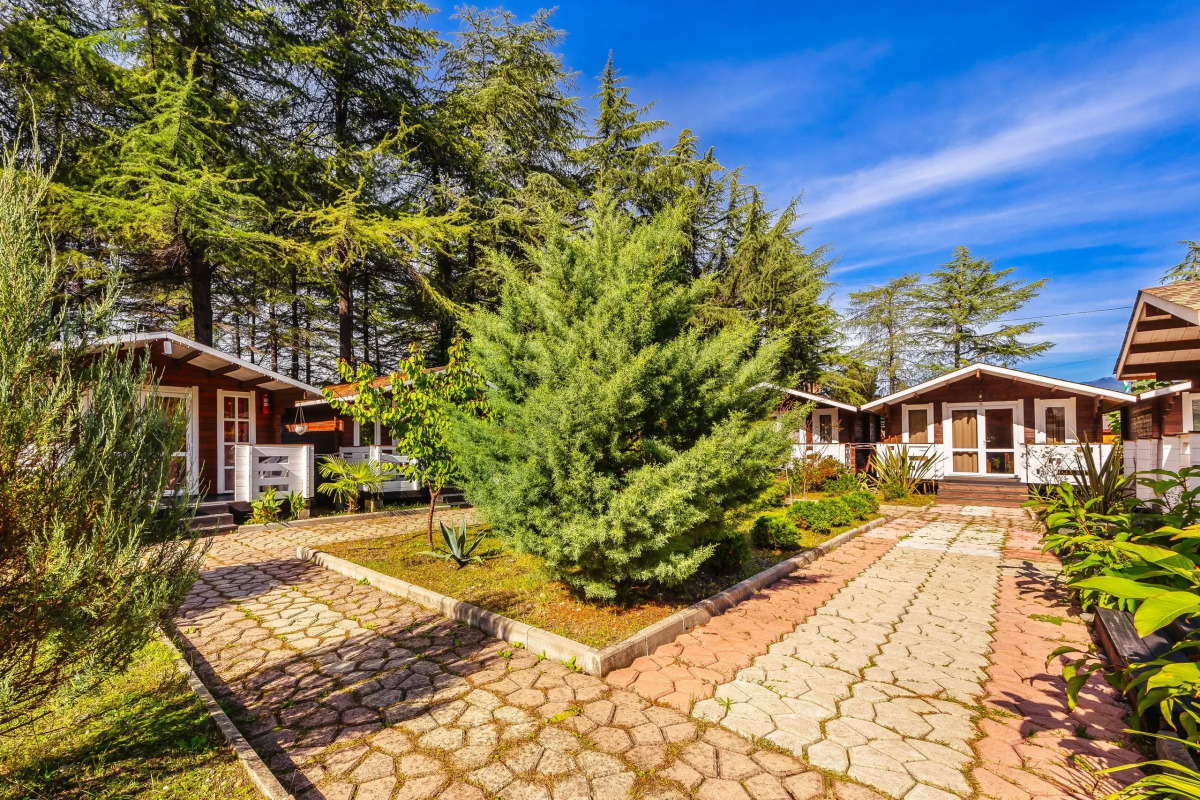 Курортный отель Отель Eco House Pitiunt