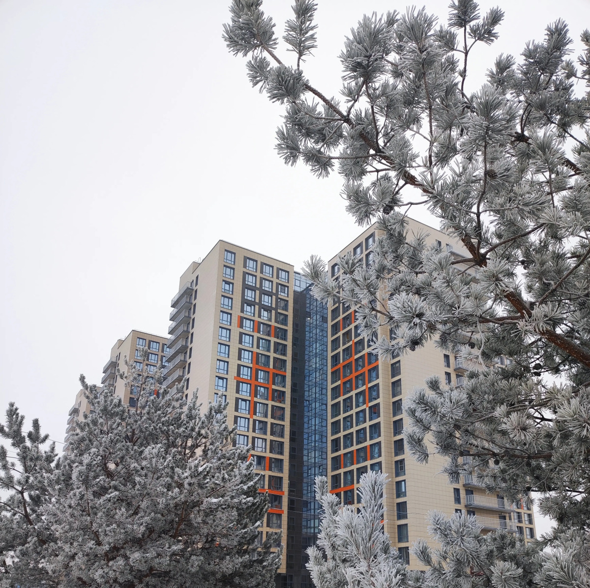 Апартаменты AnyDay