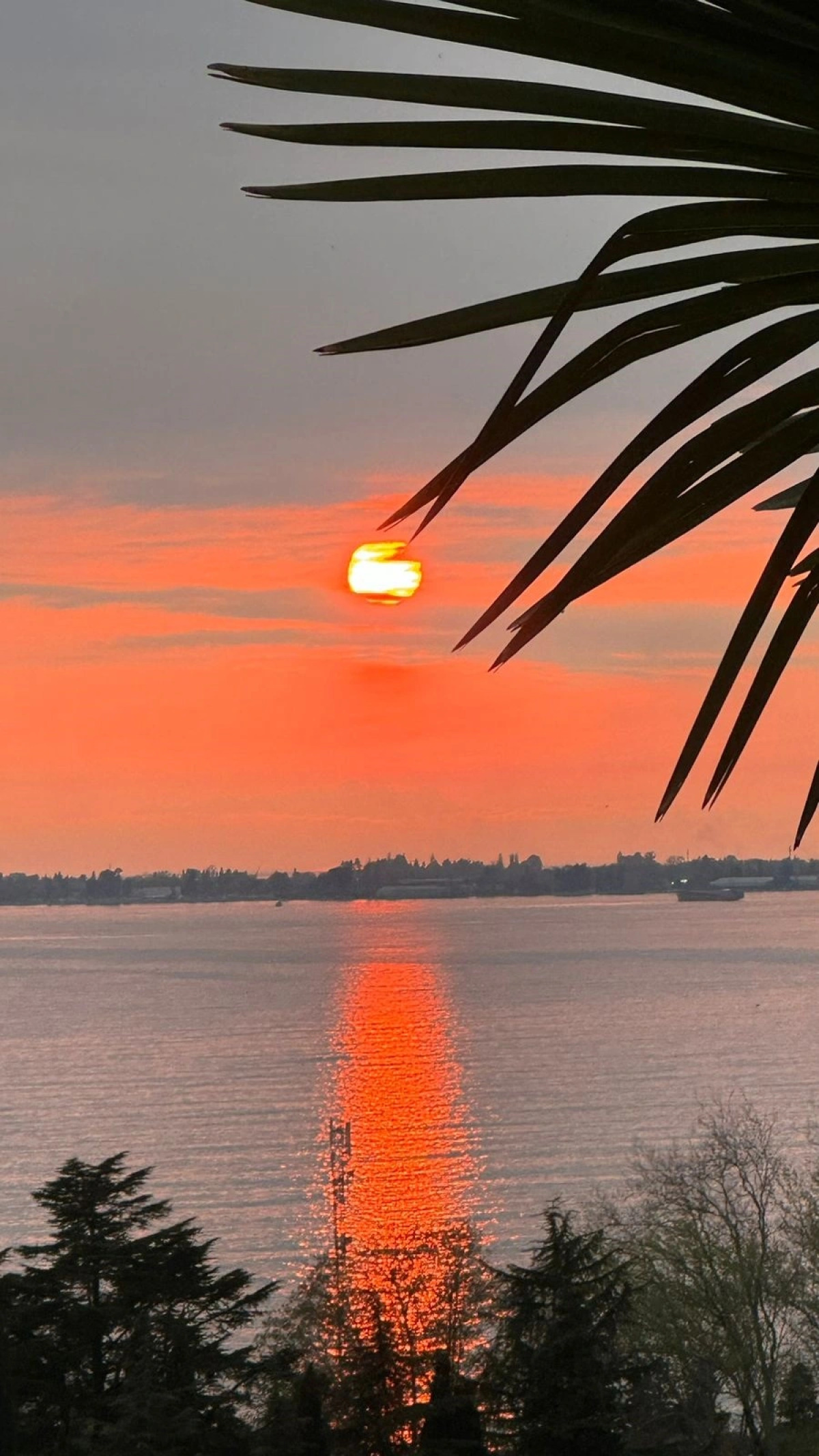 Гостевой дом Семейный