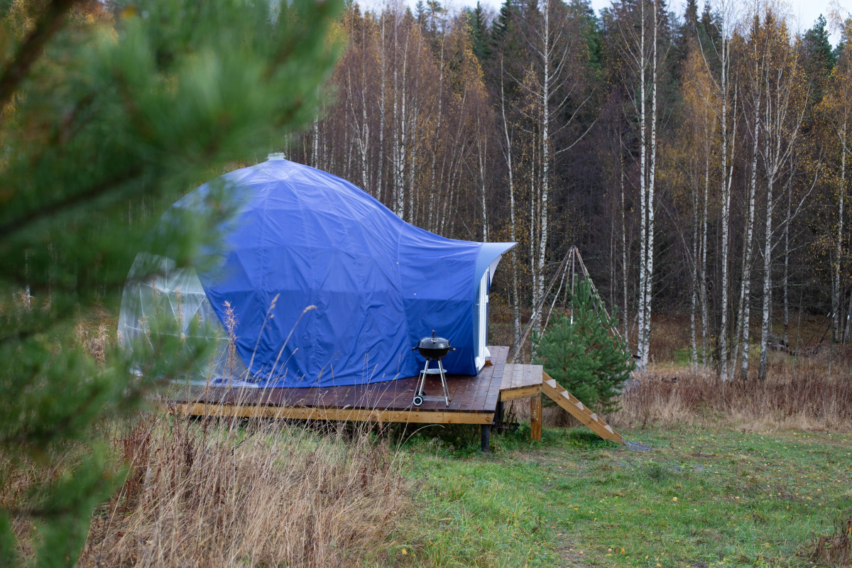 Глэмпинг Папоротник