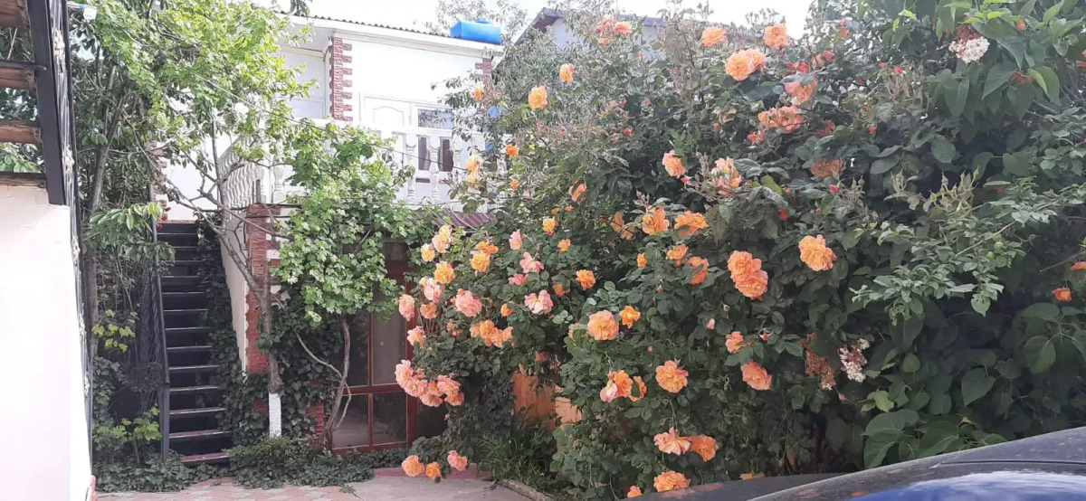 Гостевой Дом Viktoria