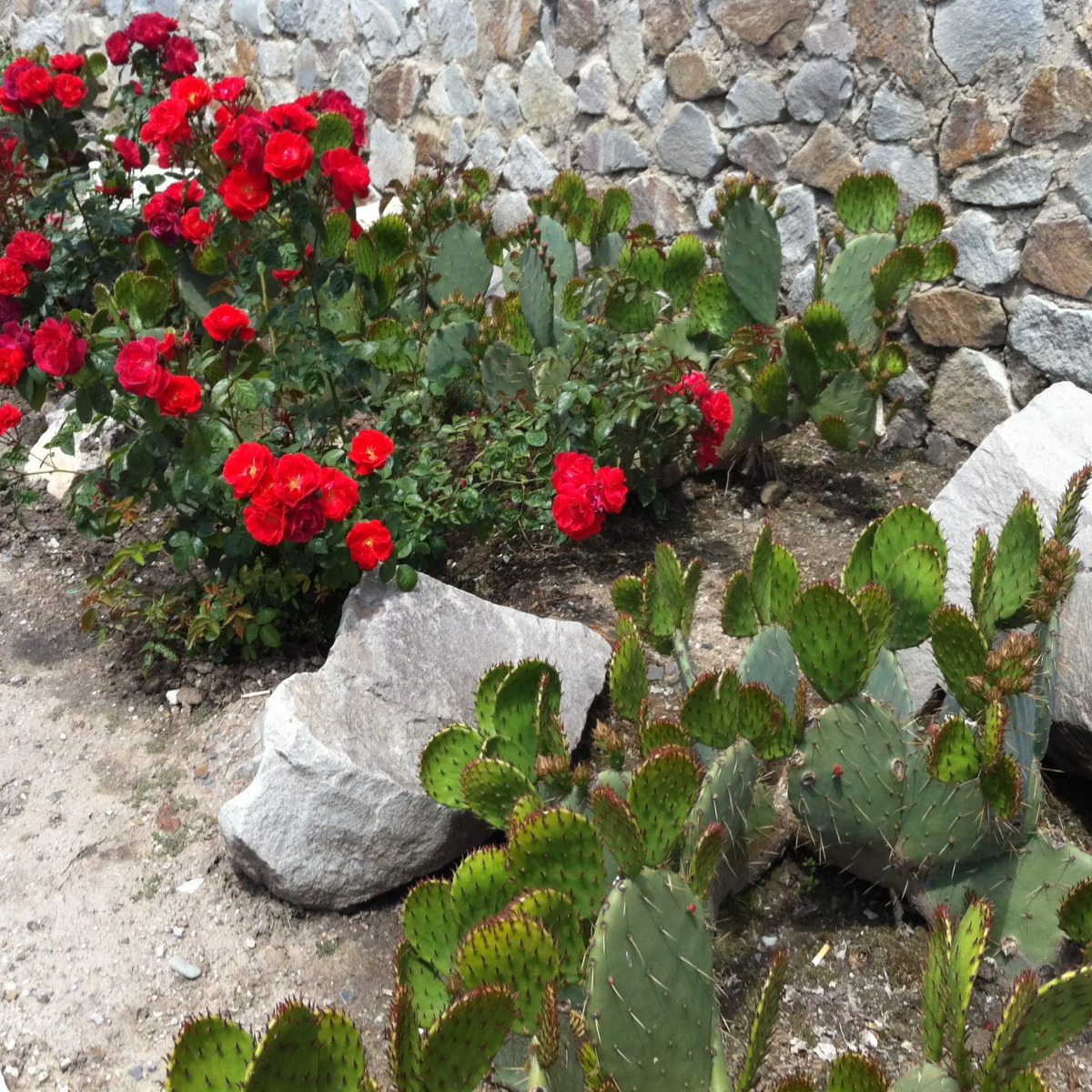 Гостевой Дом СВ