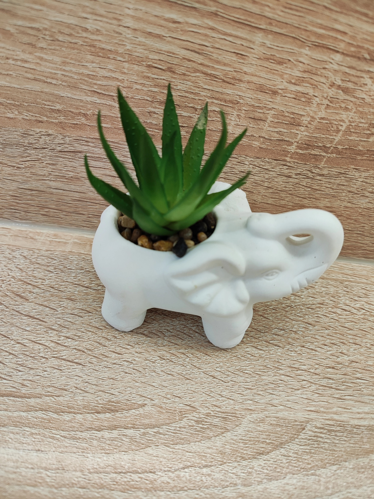 Апартаменты в центре города