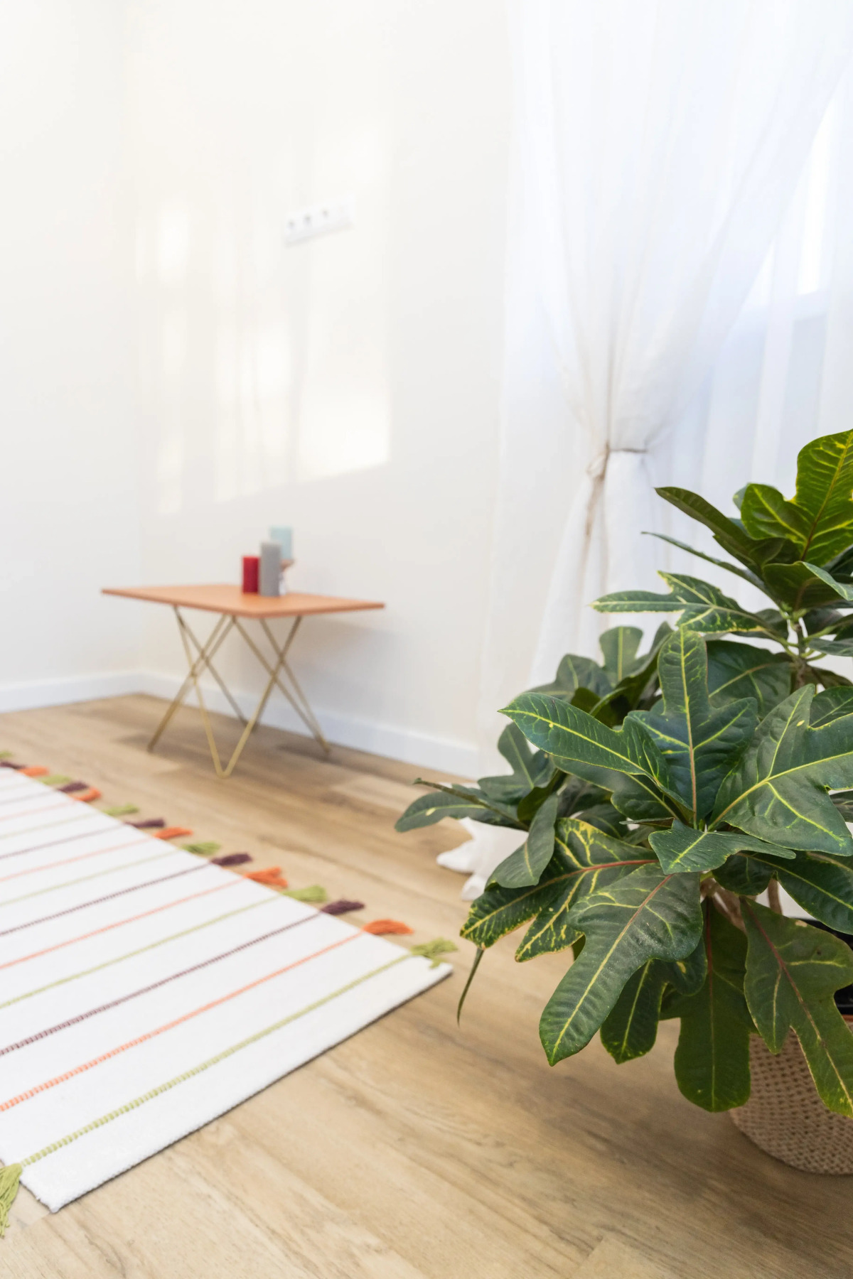 Апартаменты Malkova Аpartments на Энгельса