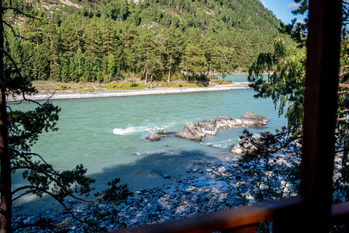 Гостевой дом АЛТАЙ БЕРЕГ ИП Рожнова Л.В.