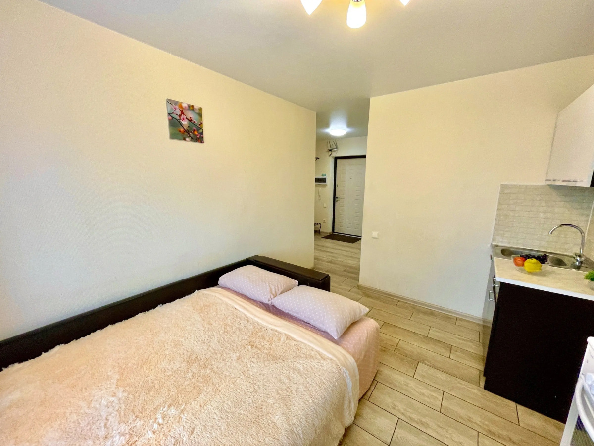 Уютные Апартаменты в доме у Космопорта (ул. Дыбенко 27а)