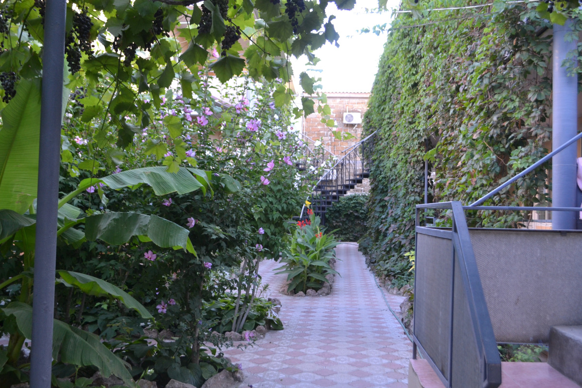 Гостевой Дом Черноморский Дворик