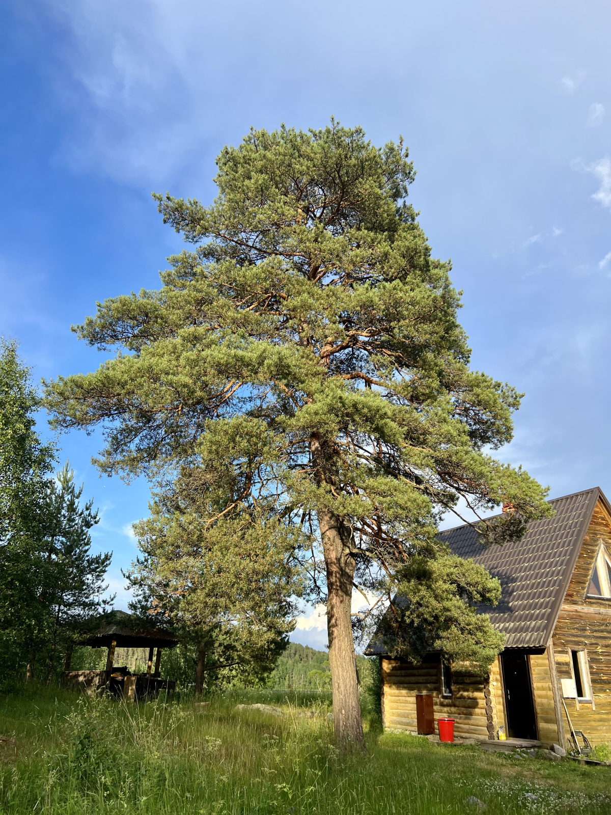 Гостевой дом Ладога Рядом