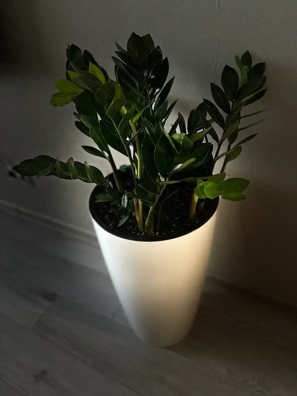 Апартаменты Оранжевый Зонтик