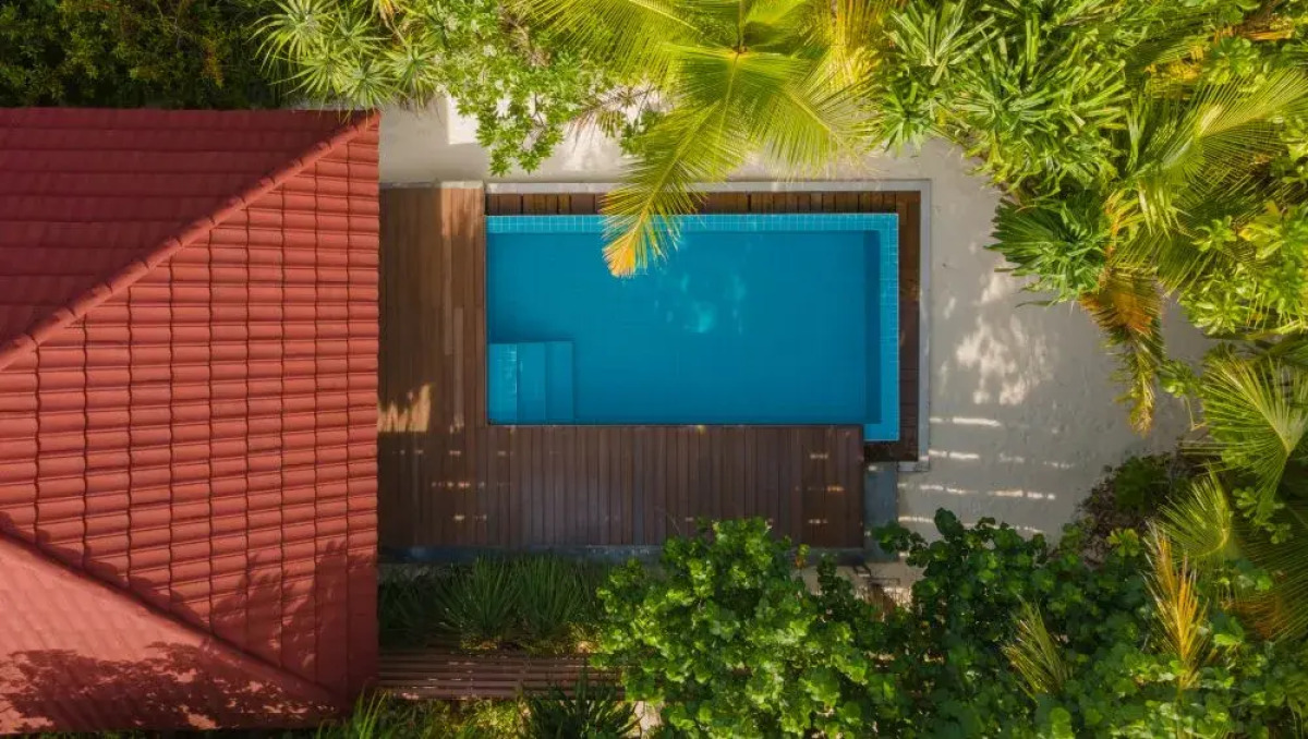 Курортный отель Dhigufaru Island