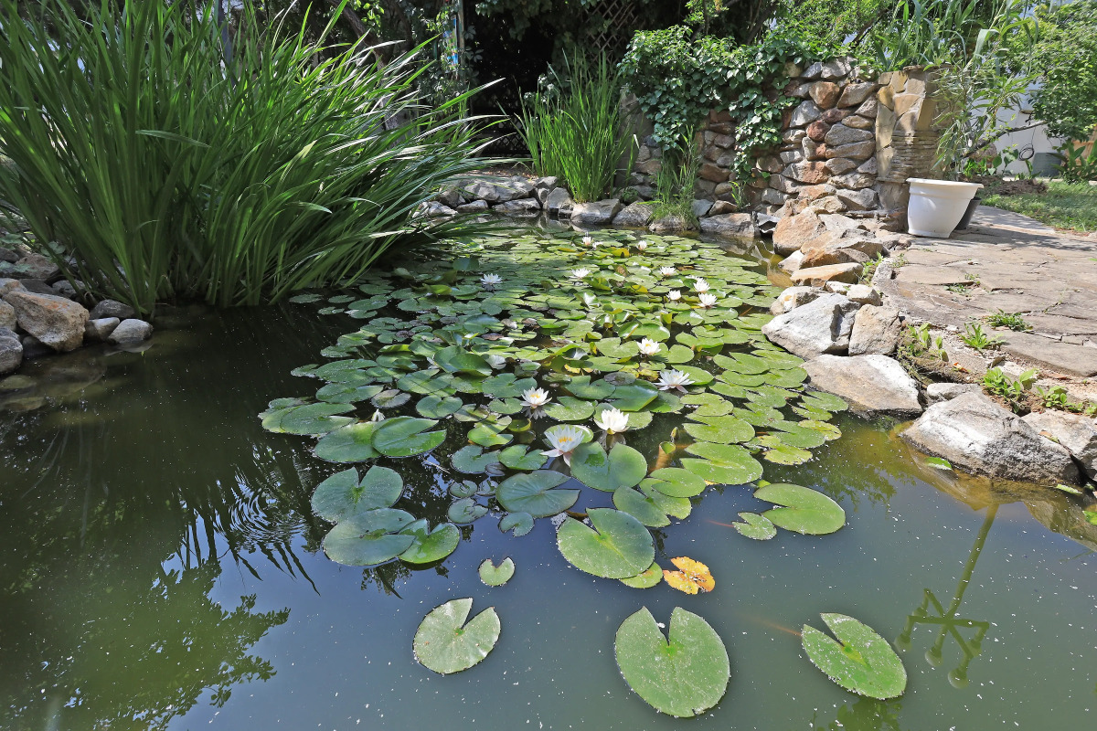 Гостевой дом Парк-отель Казантип Центр