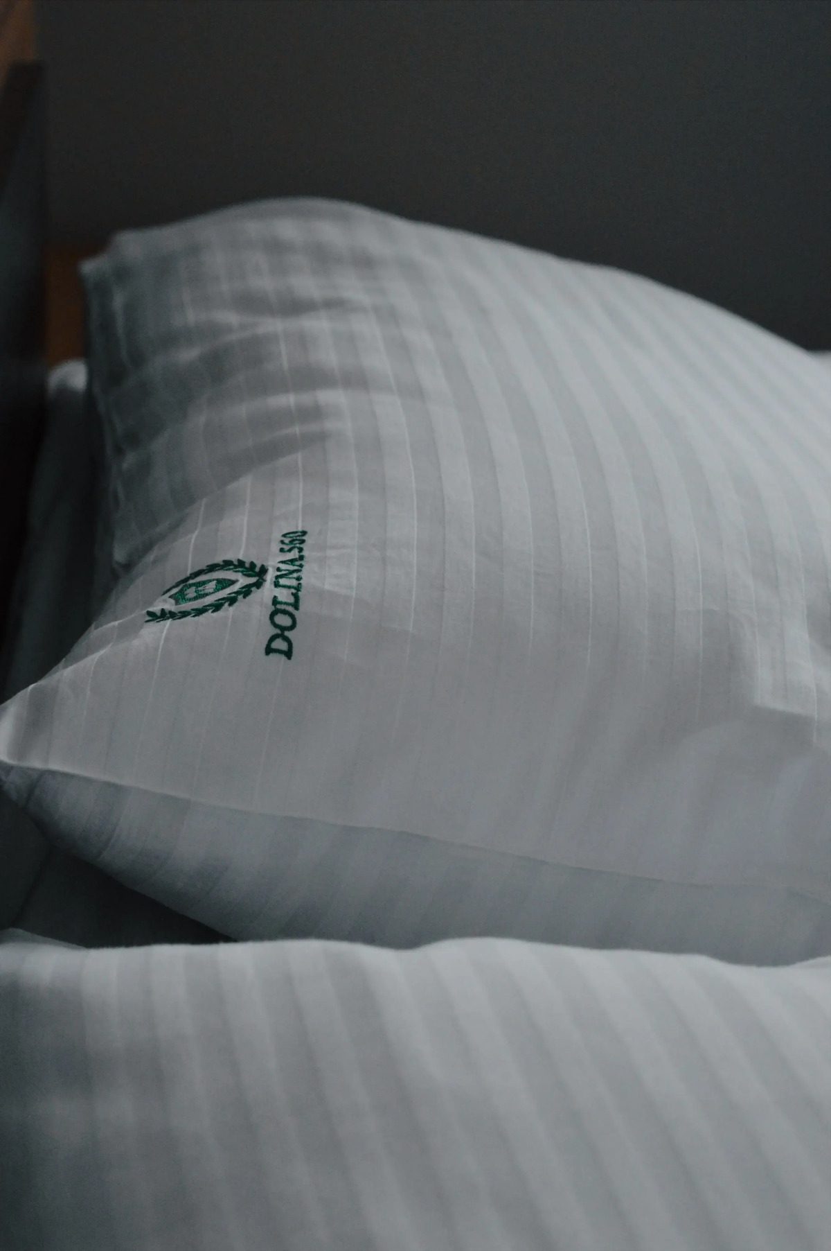 Гостевой Дом Dolina 560