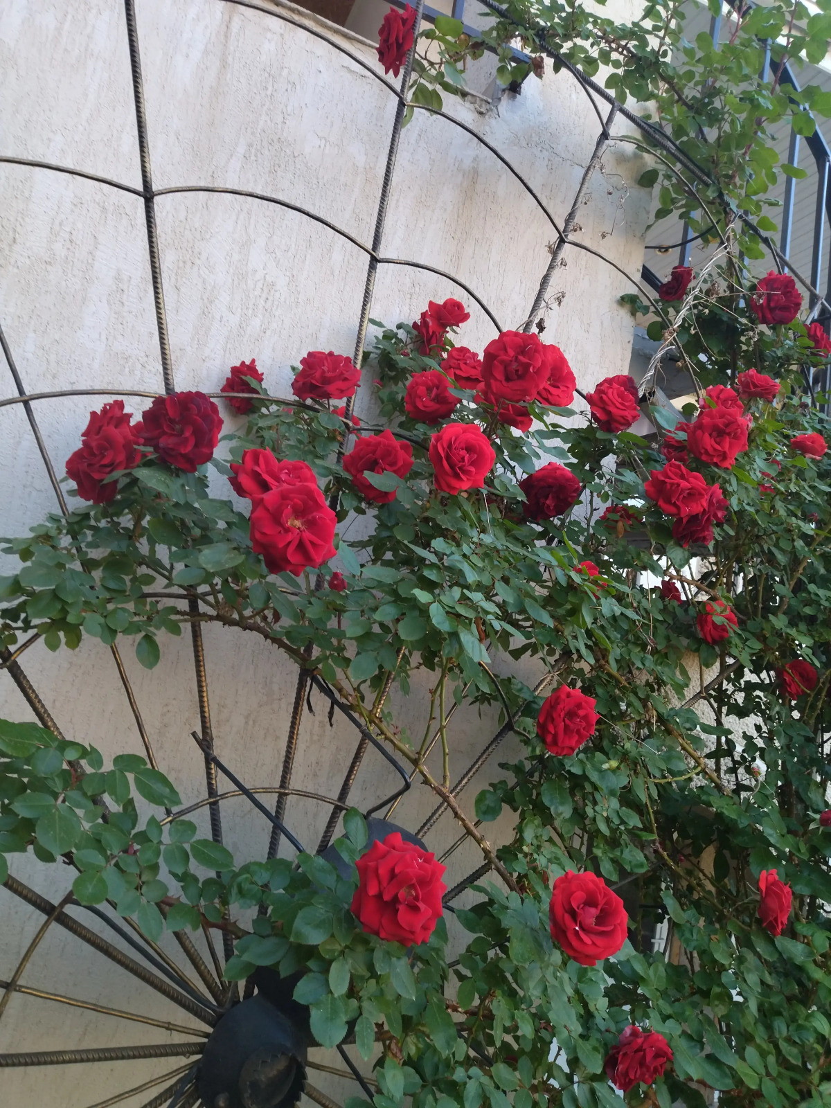 Гостевой Дом Елена