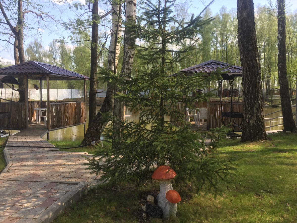 База Отдыха Золотая Рыбка