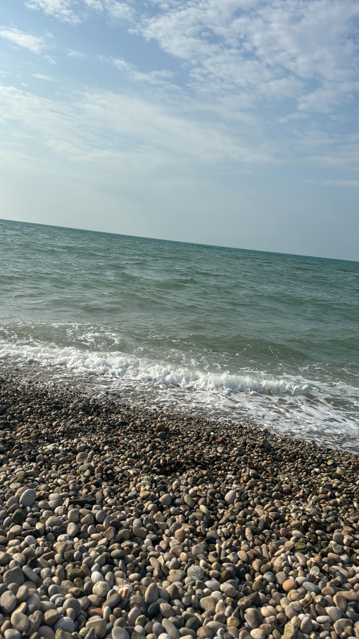 Гостевой дом Авокадо