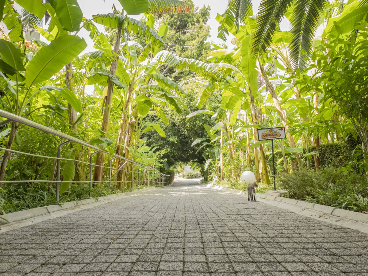 Sealife Buket Resort & Beach Hotel – All Inclusive