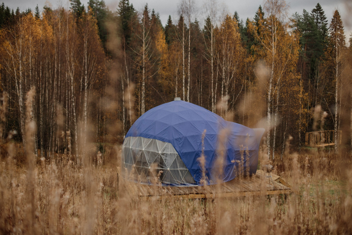 Глэмпинг Папоротник