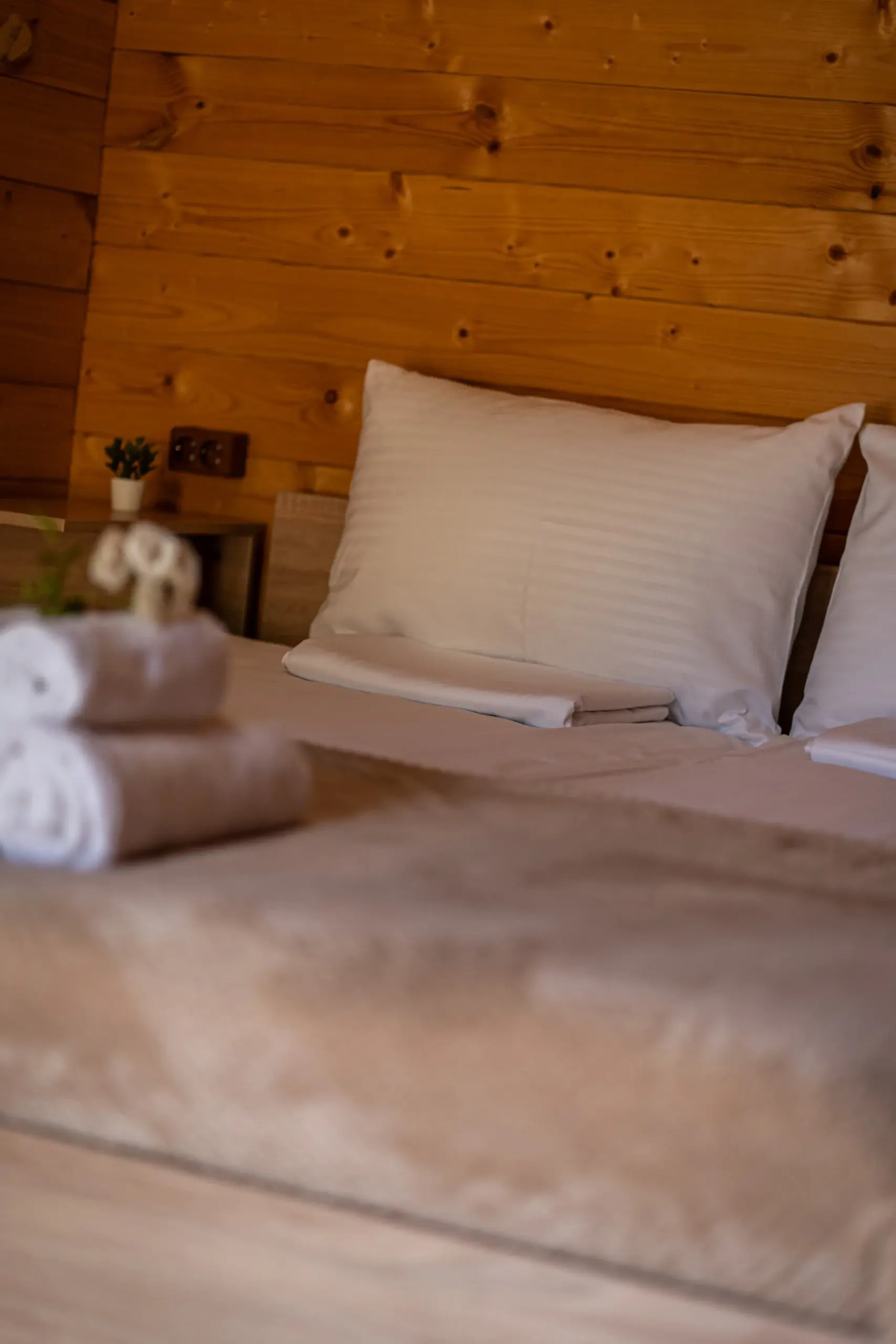 Гостевой дом ТЕПЛЫЕ НОЧИ