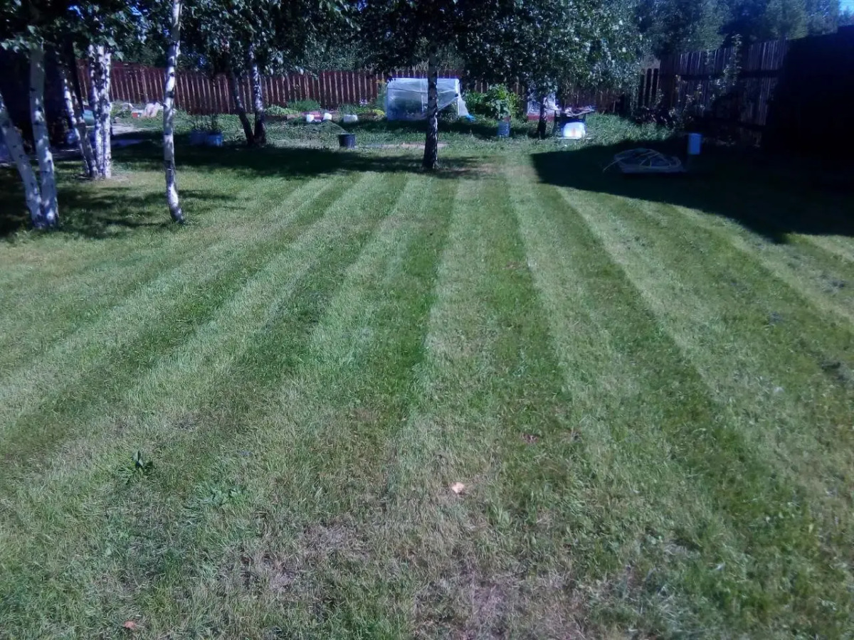 Дом с баней и купелью 7Nights