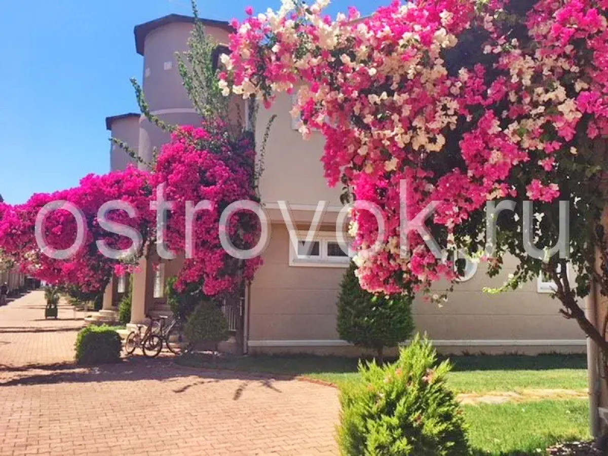 Апарт-Отель Sunset Beach Club