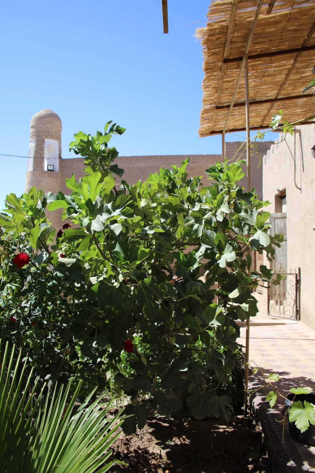 Гостевой Дом Хива Бойджан Ота