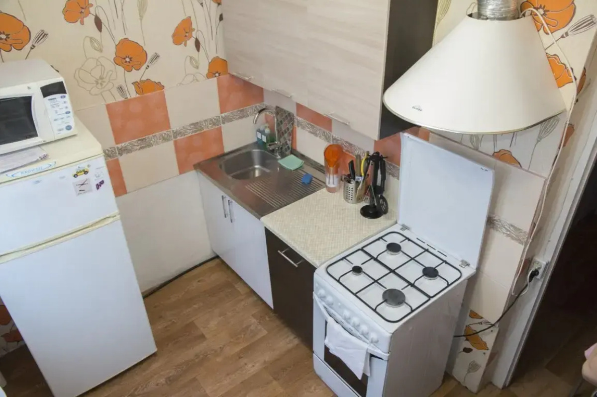 Двухкомнатные апартаменты у ДК Металлургов. Барбарис