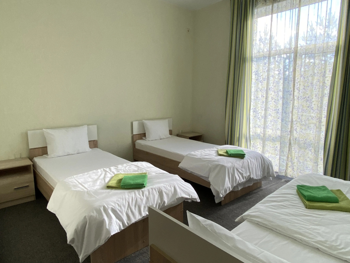 Гостевой дом Новая Ельня