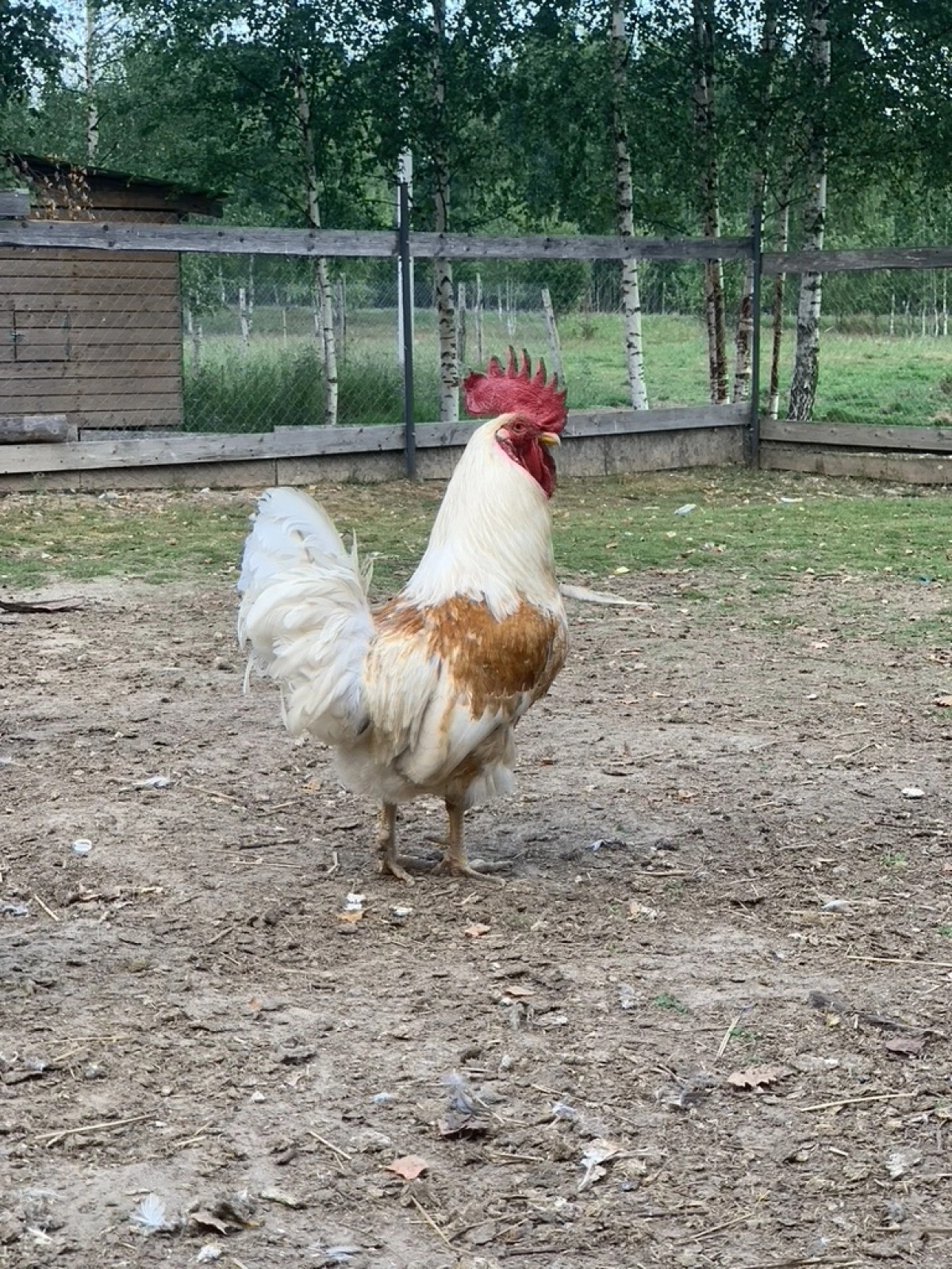 База отдыха ZAгород